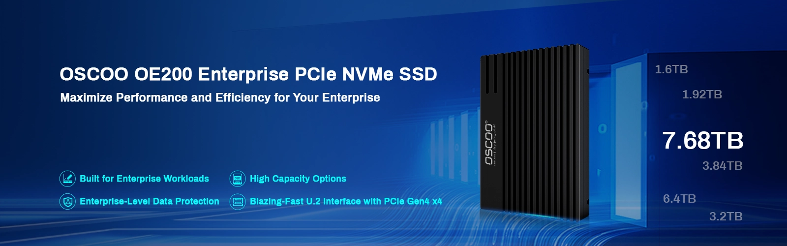 OE200 Enterprise SSD Price OE200 U.2 NVME Enterprise SSD