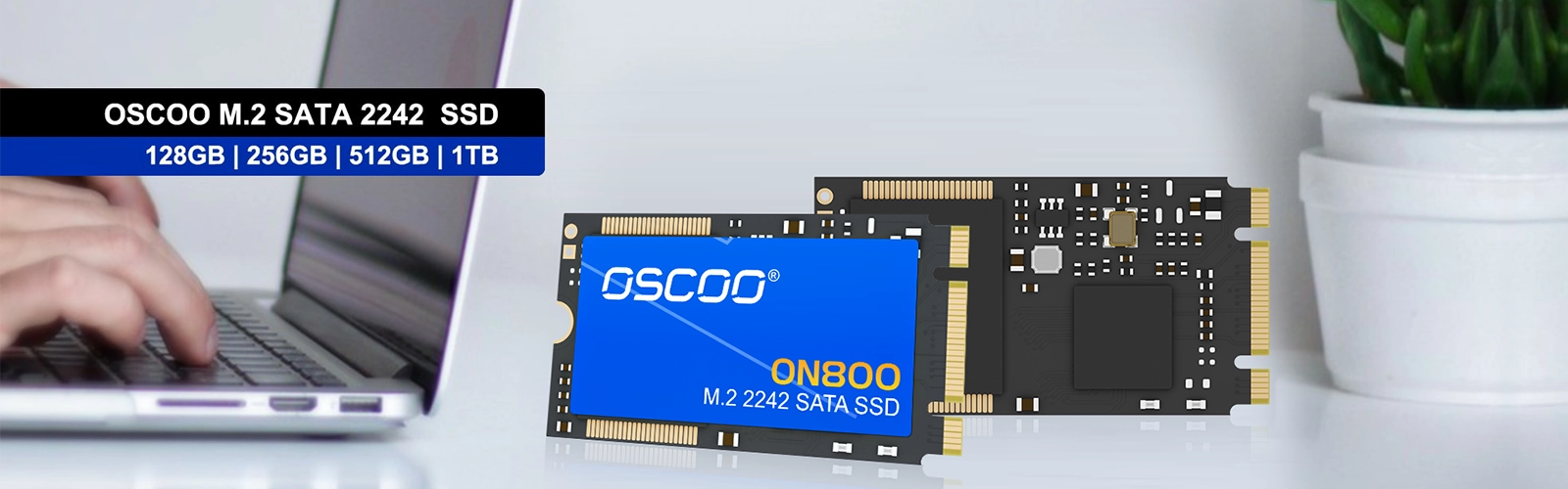 ON800 M.2 2242 SATA SSD Price ON800 M.2 SATA 2242 SSD