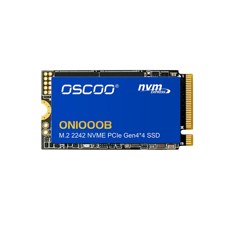 oscoo on1000b SSD M.2 2242 NVMe PCIe 4.0, pannello frontale 1, 800x800, 1 SSD per IA