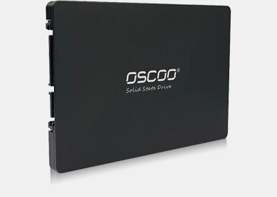 oscoo oe100 landing1 oscoo - Leading ssd manufacturer