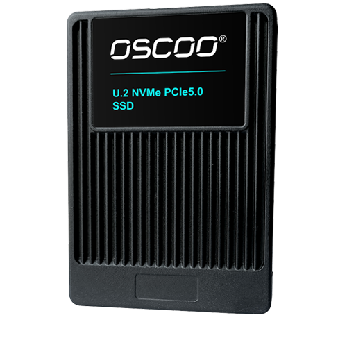 oscoo enterprise ssd Kategorie Großhandel SSD
